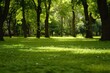 © Rawpixel.com - Green park landscape outdoors woodland.