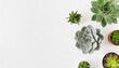 Top view of different cacti and succulents, indoor plants in pots arranged on a white table. Mock up background with pots flowers and empty space for text. Generative AI