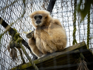 A day out at the zoo