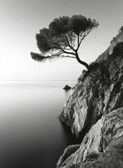 Poster - b'Black and white photo of a lonely tree on a cliff overlooking the sea'