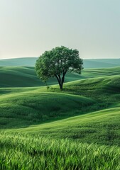 Wall Mural - b'Lonely Tree Standing in a Vast Green Field'