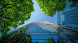 Low angle view skyscrapers and green trees in city. Reflection modern architecture and urban development in glass facade tall corporate, sunlight in cityscape. Skyline and success financial.