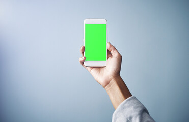 Wall Mural - person, hand and phone with green screen for advertising or marketing on a gray studio background. c