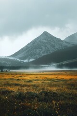 Canvas Print - b'Foggy mountain landscape with a large grass field in front'