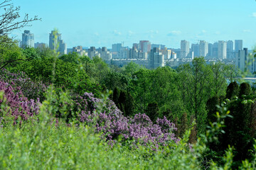 Wall Mural - Landscape botanical park on a bright sunny spring day