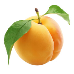 Wall Mural - ripe apricots with leaves