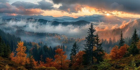 Wall Mural - Breathtaking view of the forest in autumn in the mountains