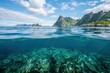 Ocean Views: Split-Screen Wonder of Above and Below the Water