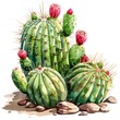 © toei - watercolor painting of a prickly pear cactus with red flowers
