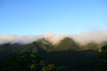 Sticker - fog in the mountains