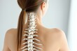 b'3D illustration of the human spine on a female back'