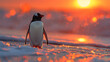 Penguin at the South Pole during sunset, showcasing serene Arctic landscape, vibrant hues, and the majestic silhouette of the penguin against the glowing horizon