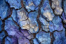 Blue And Purple Tree Bark Abstract Texture Closeup