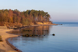 Fototapeta Góry - a small bay on the shore of the Baltic Sea at dawn, pine trees on the shore