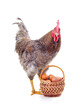 Rooster near a basket with eggs.