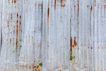 Wall Mural - Front view of rusty and corrugated iron metal construction site wall. Abstract high resolution full frame textured background, copy space.