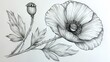   A monochrome illustration of a flower and a sprout on a piece of paper with a pencil depiction of the same