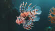 Lionfish a venomous fish with red and white strip 

