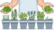 A cartoon image of hands over a row of potted plants. On a white background.
