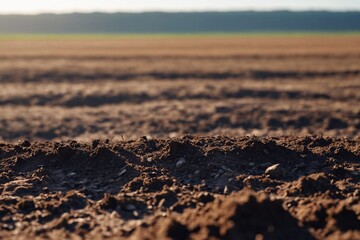 Wall Mural - Clean soil for growing before sowing, agricultural farm. Image of deep black chernozem soil in a field.