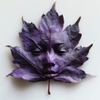 A single purple leaf with a human face.