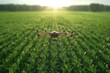 A drone flies over crops against the backdrop of the setting sun.