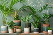 assortment of houseplants in stylish ceramic pots urban jungle collection