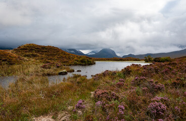 Wall Mural - beautiful landscape in scotland, full of greenery, ideal place for vacation. River Etive in Glen Etive, Isle of Skye Scotland