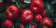 © vachom - Close-up of ripe red apples with water droplets, nestled among green leaves.