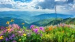 mountain view at beautiful summer sunset with pink rhododendron flowers