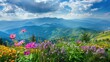 mountain view at beautiful summer sunset with pink rhododendron flowers