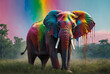 Rainbow Elephant in the Forest