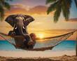 Elephant relaxing on a tropical beach at sunset sky.