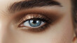  Delicately applied eyeshadow blending seamlessly, enhancing the eyes with an air of sophistication and grace