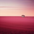 Photo of pink field land architecture agriculture.
