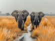 Elephants in the Wild: A Majestic African Scene