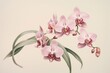 Orchid flower plant inflorescence freshness.