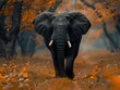 Awe-Inspiring Elephant in a Serene Setting