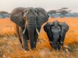 Enchanting Scene: Elephants in their Habitat