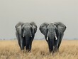 Captivating African Wildlife: Elephants in Nature