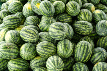 Wall Mural - Many big sweet green watermelons at a market in Thailand