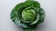 Cabbage on a white background ai generated 