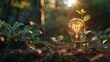 Light bulb with plant in nature - renewable energy source, sustainable development and responsible environmental ecology concept hyper realistic 