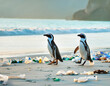 Penguins pair walking on a beach full of plastic waste and pollution suggesting enviromental hazard