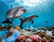 dolphins swimming in a polluted waters filled with garbage and plastic waste suggesting huge enviromental issue and warning