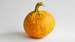 pumpkins on a white background, Pumpkins isolated on white with clipping path ai generated 