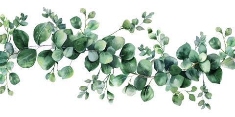 Poster - Watercolor eucalyptus leaves garland isolated on white background