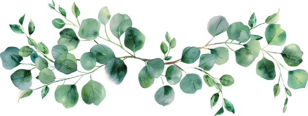 Sticker - Watercolor eucalyptus leaves garland isolated on white background