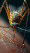 Macro Shot of Mosquito on Human Arm - Summer Nature Photography