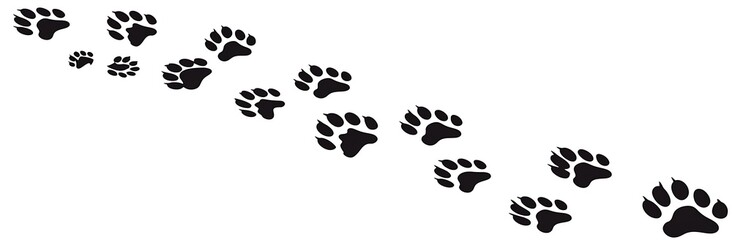 A black vector silhouette of dog paw prints in the shape of an arrow, pointing right on white background